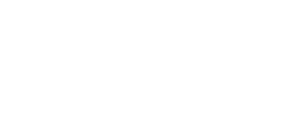 Shoks